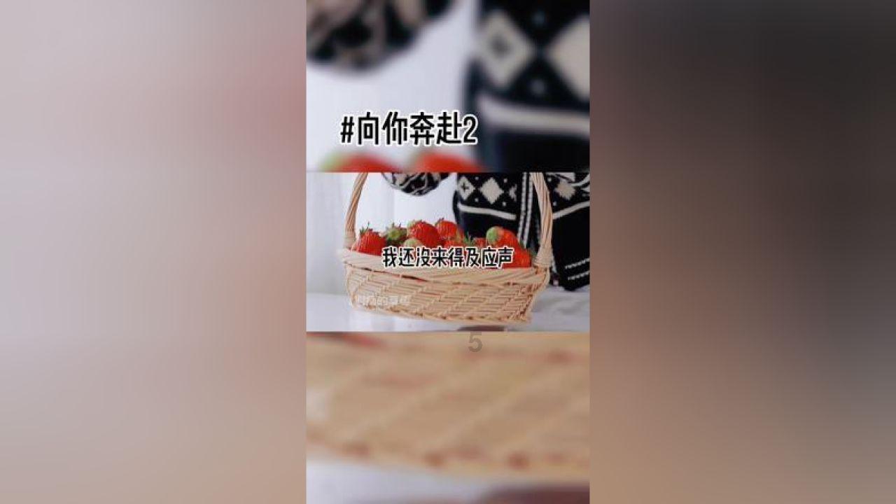 小猪佩奇饲养员